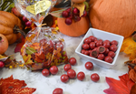 Load image into Gallery viewer, Chocolate Covered Cranberries
