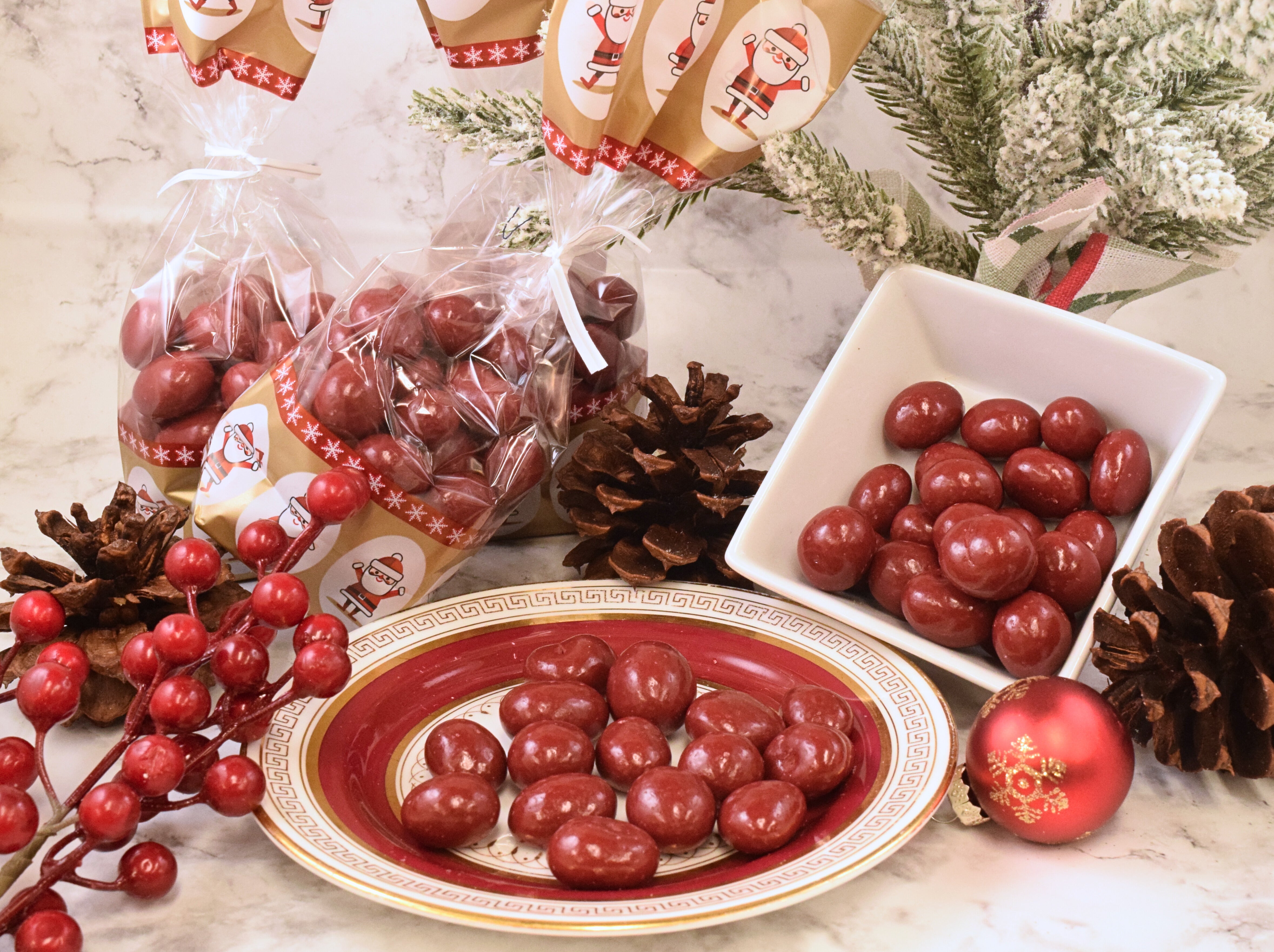 Chocolate Covered Cranberries
