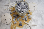 Load image into Gallery viewer, Maine Beach Pebbles and Seashells
