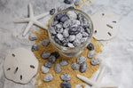 Load image into Gallery viewer, Maine Beach Pebbles and Seashells
