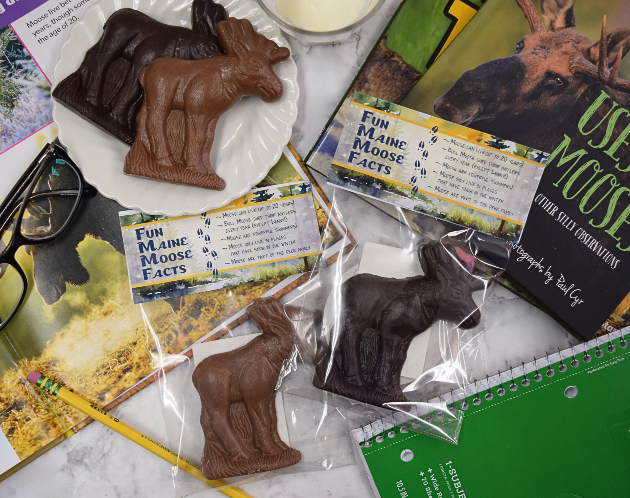 Medium Chocolate Lenny Moose