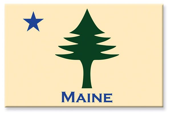 Tin Magnets