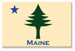 Tin Magnets