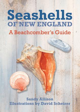 Seashells of New England: A Beachcombers Guide Book