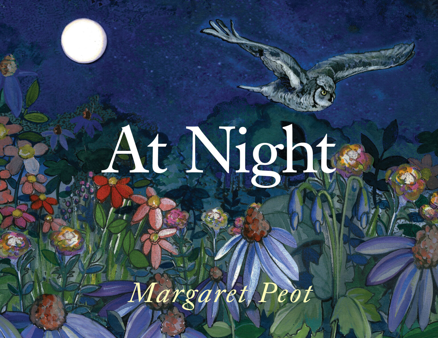 At Night