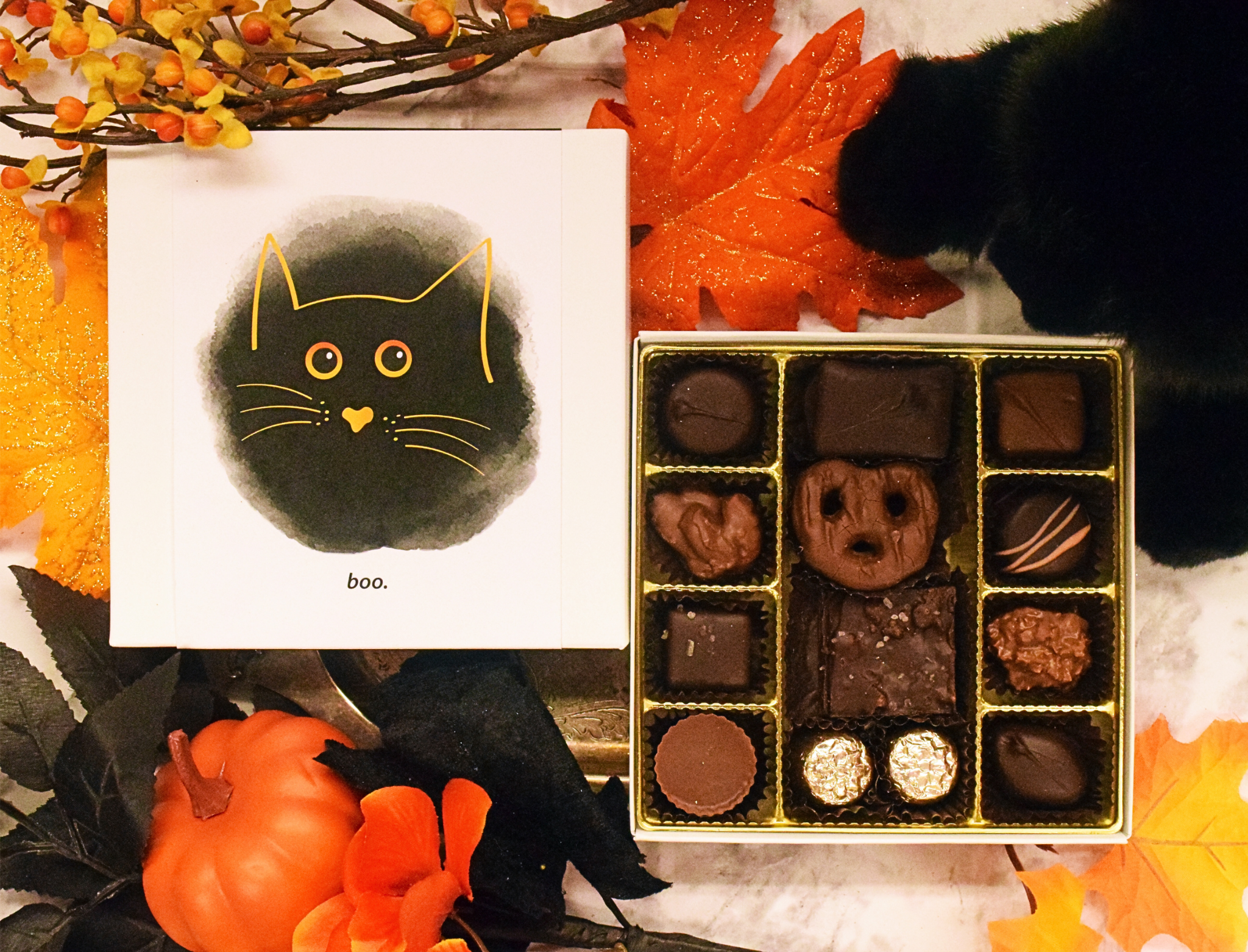 6 pc or 16 pc Signature Gift Box - Boo! Kitty