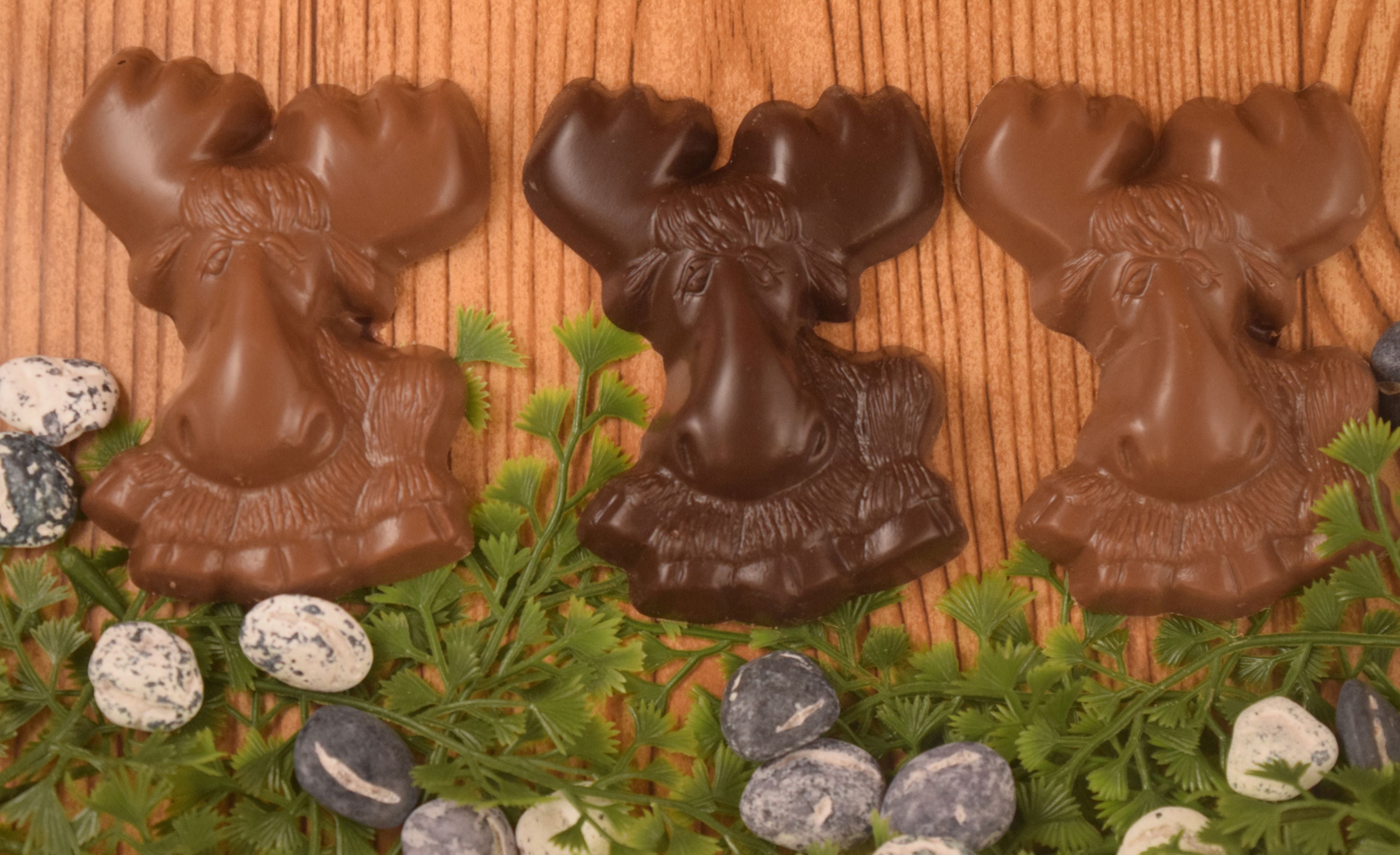 Moose on the Rocks