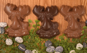Moose on the Rocks