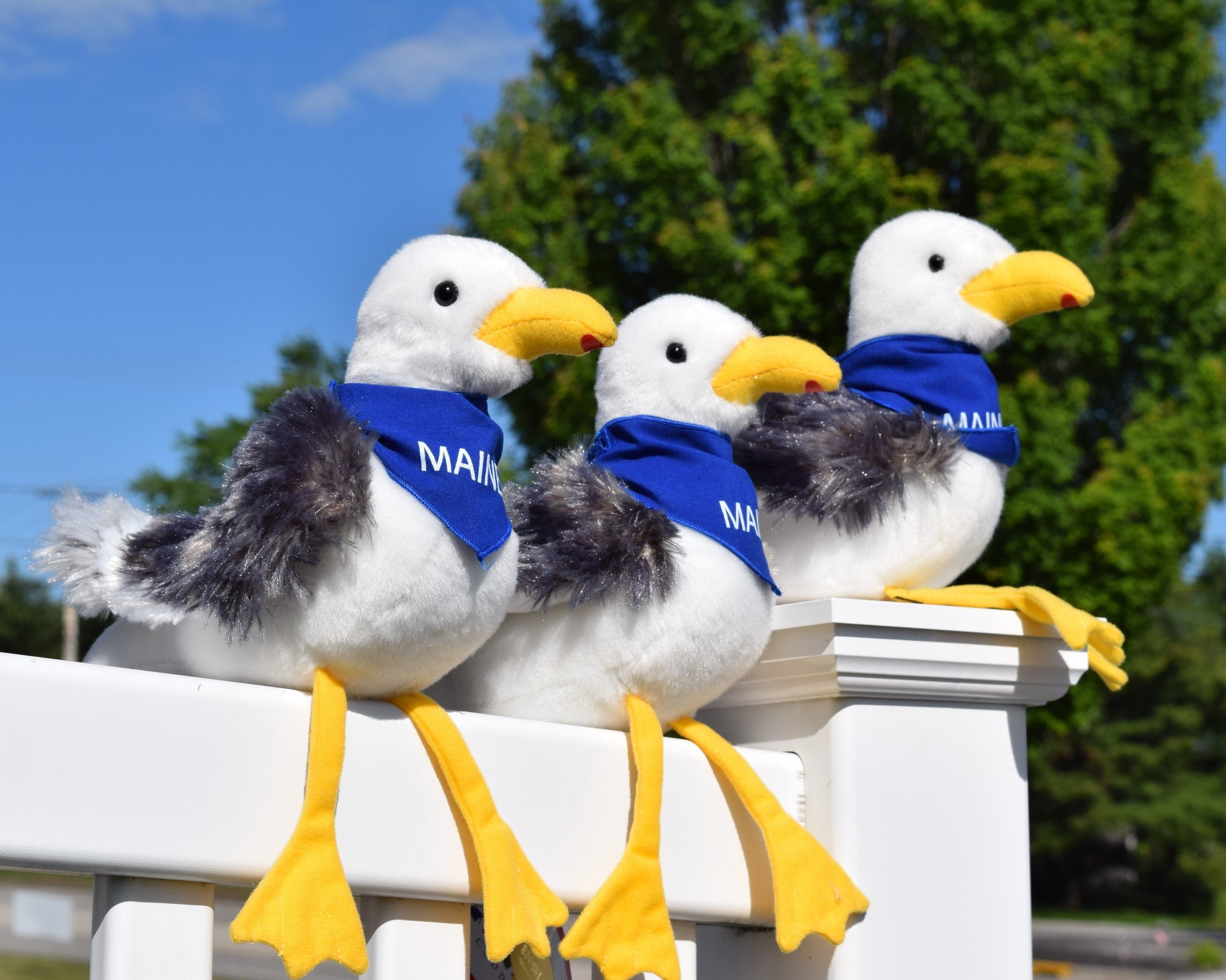 Willard the Seagull Plush Animal