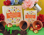 Load image into Gallery viewer, 6pc or 16pc Signature Gift Box - Signs of Spring
