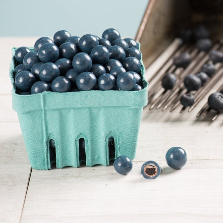Chocolate Covered Blueberries